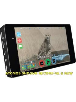 ATOMOS SHOGUN RECORD 4K & RAW