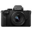 Panasonic Lumix G100 Mirrorless Camera for Vlogging and Creative Video Content