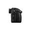 Panasonic Lumix GH5M2 Digital Mirrorless Camera (Body)