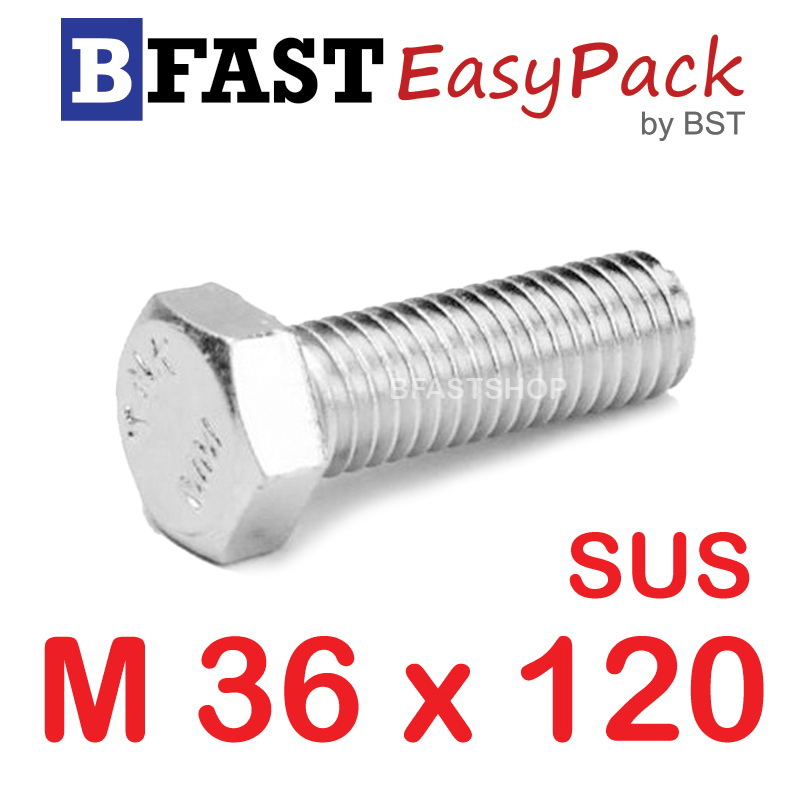 สกรูหัวเหลี่ยมสแตนเลส M36 x 120