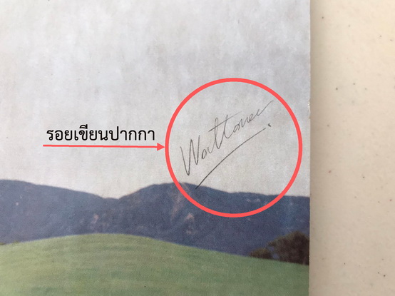 America - View From The Ground