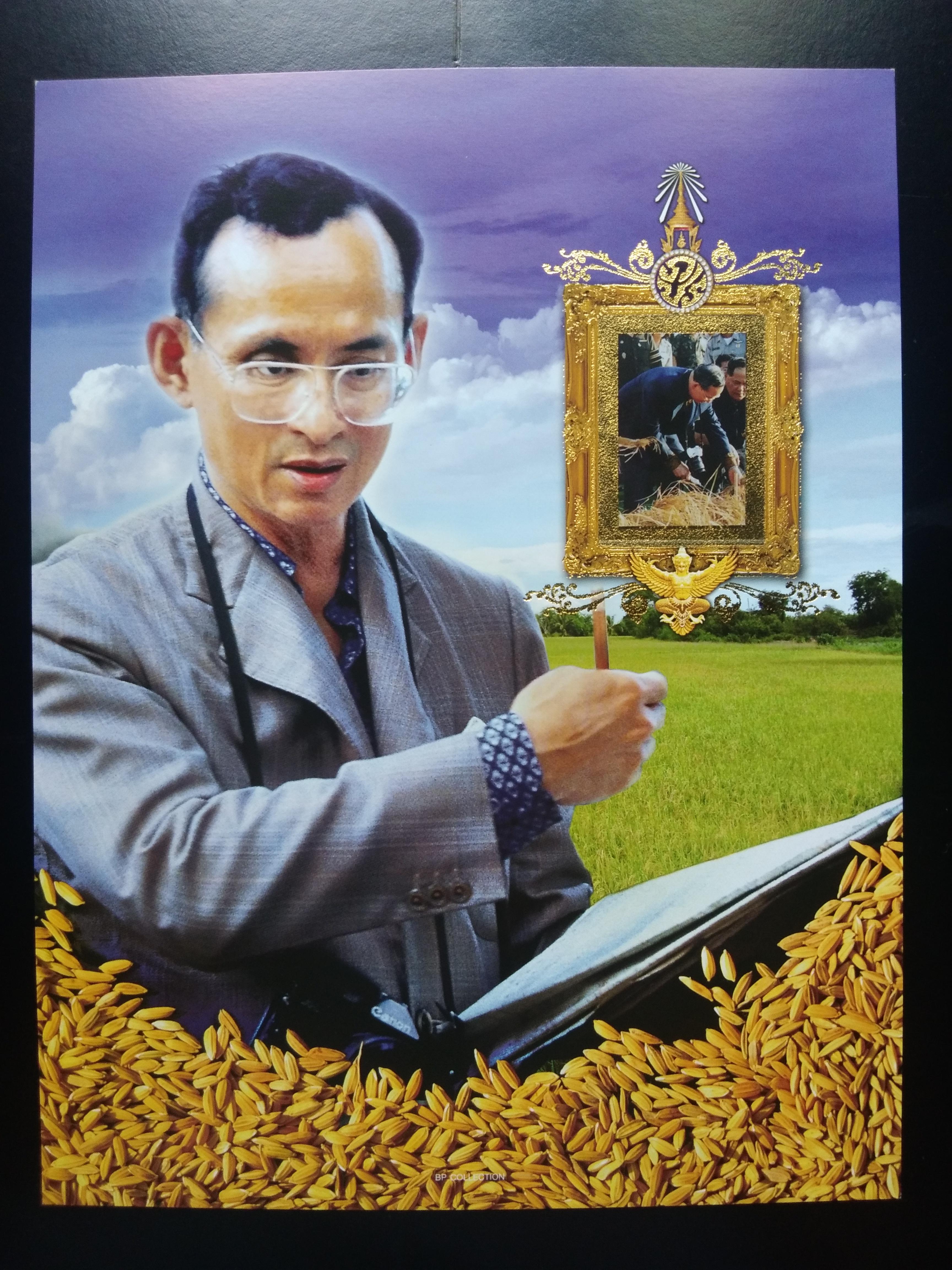 เมาส์ใส่แสตมป์ ชุด พันธุ์ข้าวทรงปลูกพระราชทาน ข้าวของพ่อ