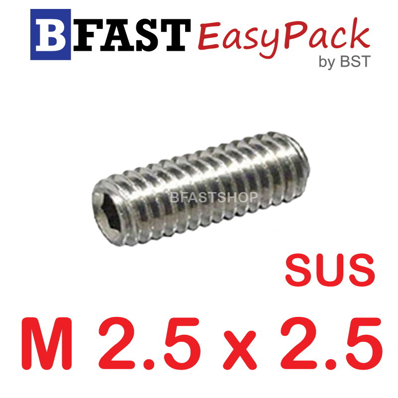สกรูตัวหนอนสแตนเลส SUS M2.5 x 2.5 (5 ตัว/ถุง)