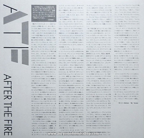 After The Fire - Der Kommissar