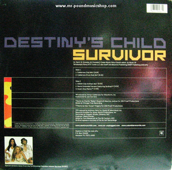 Destiny's Child - Survivor