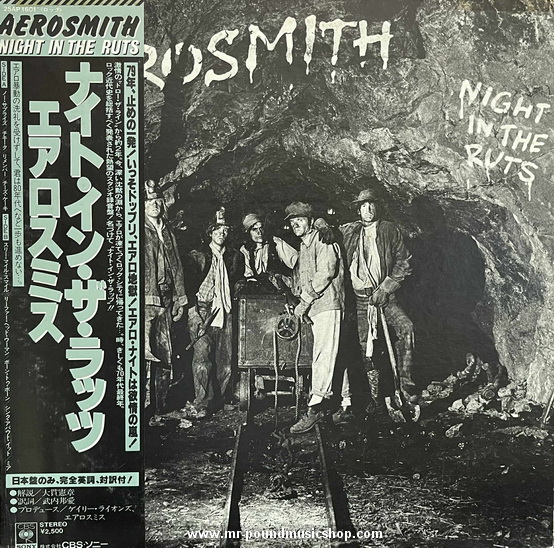 Aerosmith - Night in The Ruts