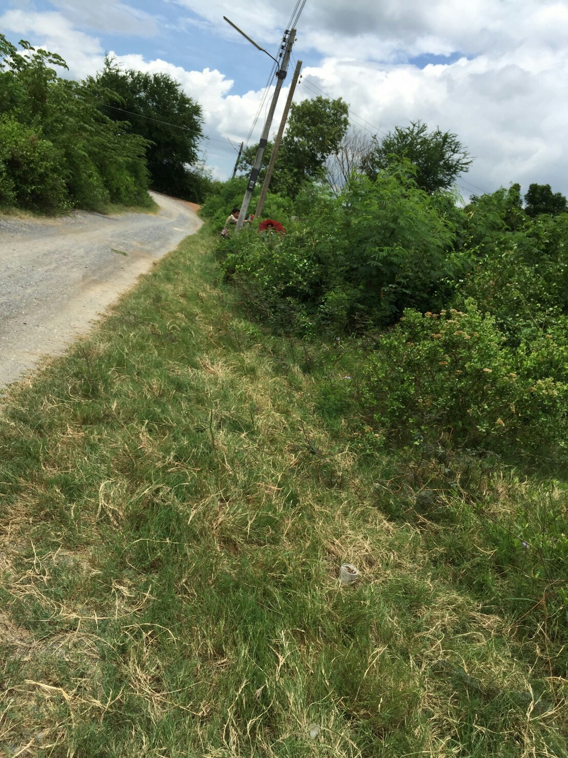 รหัสทรัพย์ 87582 ขายที่ดิน 2 แปลงจังหวัดนครปฐม 2 แปลงติดกัน