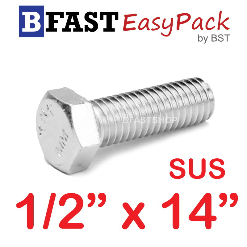 สกรูหัวเหลี่ยมสแตนเลส 1/2" x 14" (1 ตัว)