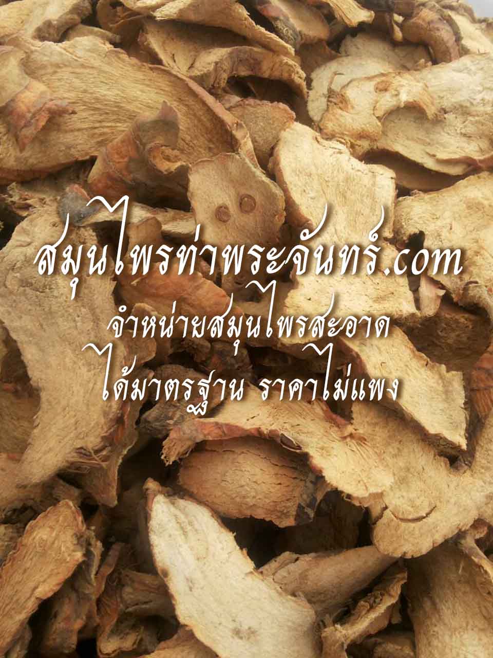 สมุนไพรข่า