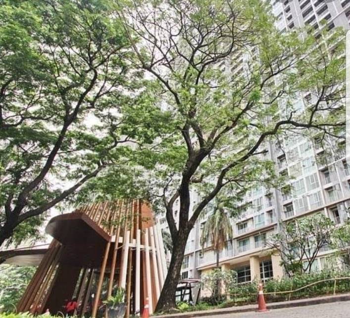 ให้เช่าคอนโด The Line Phahonyothin Park : เดอะ ไลน์ พหลโยธิน พาร์ค 1 ห้องนอน ขนาด 44 ตารางเมตร