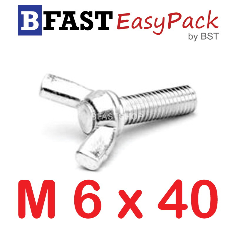 สกรูหางปลาหูกระต่ายสแตนเลส M6 x 40 ( 1ตัว/ถุง)