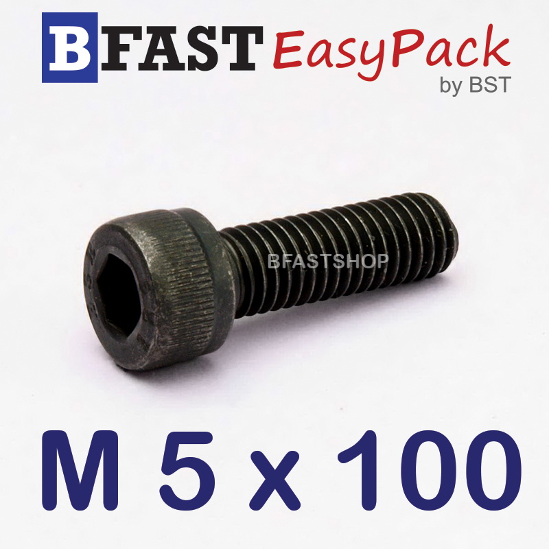 สกรูหัวจมดำ M 5 x 100 *เกลียวครึ่ง*