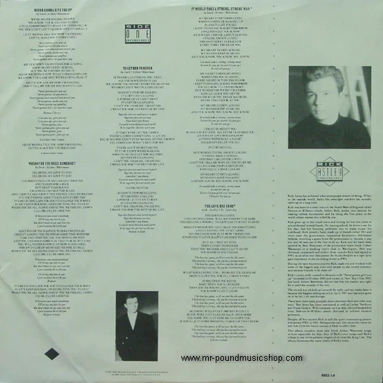 Rick Astley - Whenever You Need Somebody