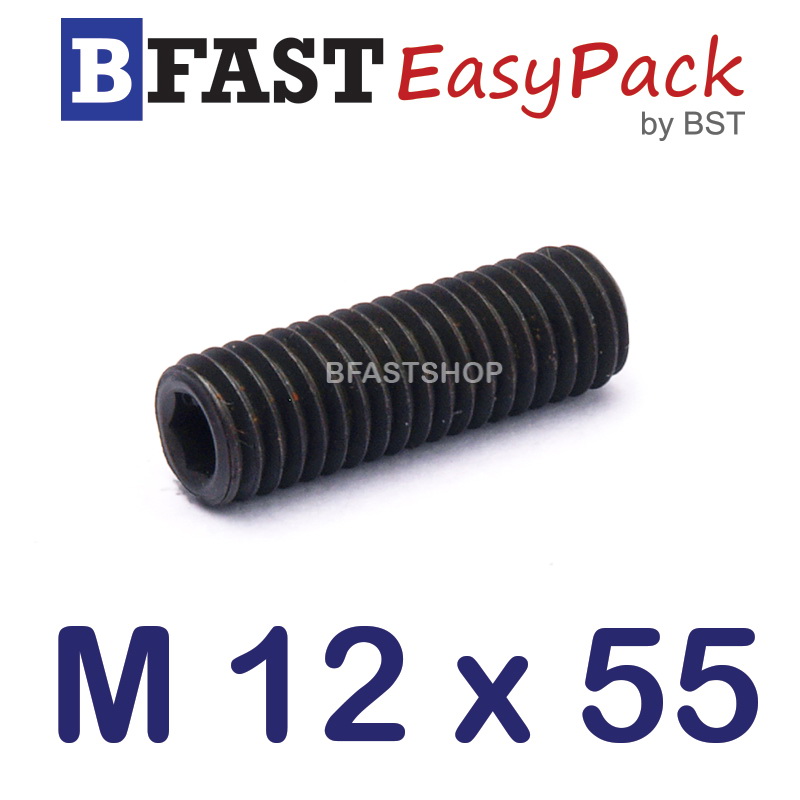 สกรูตัวหนอนดำ M 12 x 55
