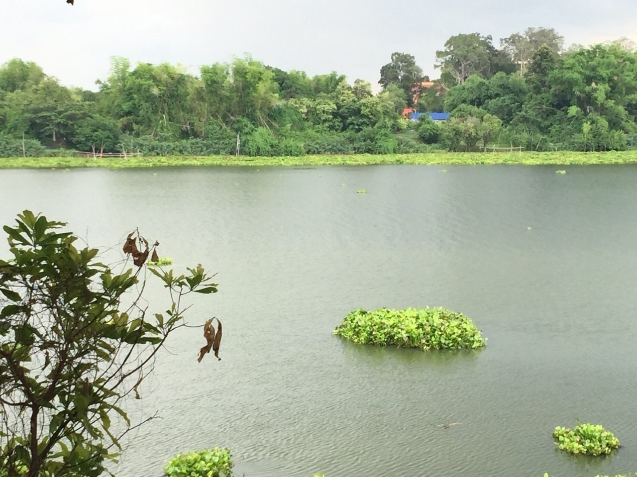 ขายที่ดินสวยติดแม่น้ำมูลทั้งผืน อำเภอ พิบูลมังสาหาร จังหวัด อุบลราชธานี อากาศเย็นสบายทั้งปี