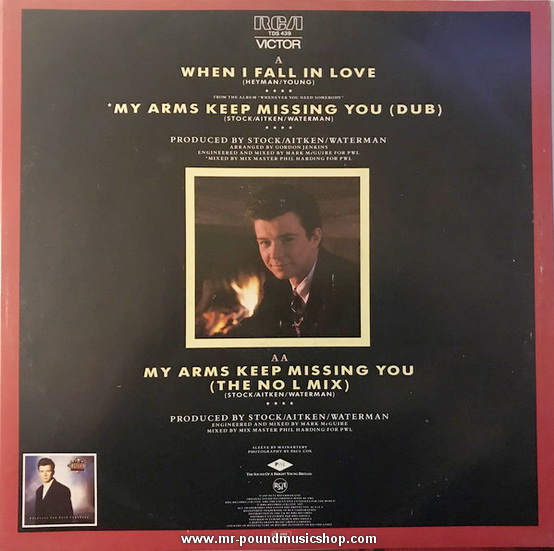 Rick Astley - When I Fall in Love / My Arms Keep Missing You