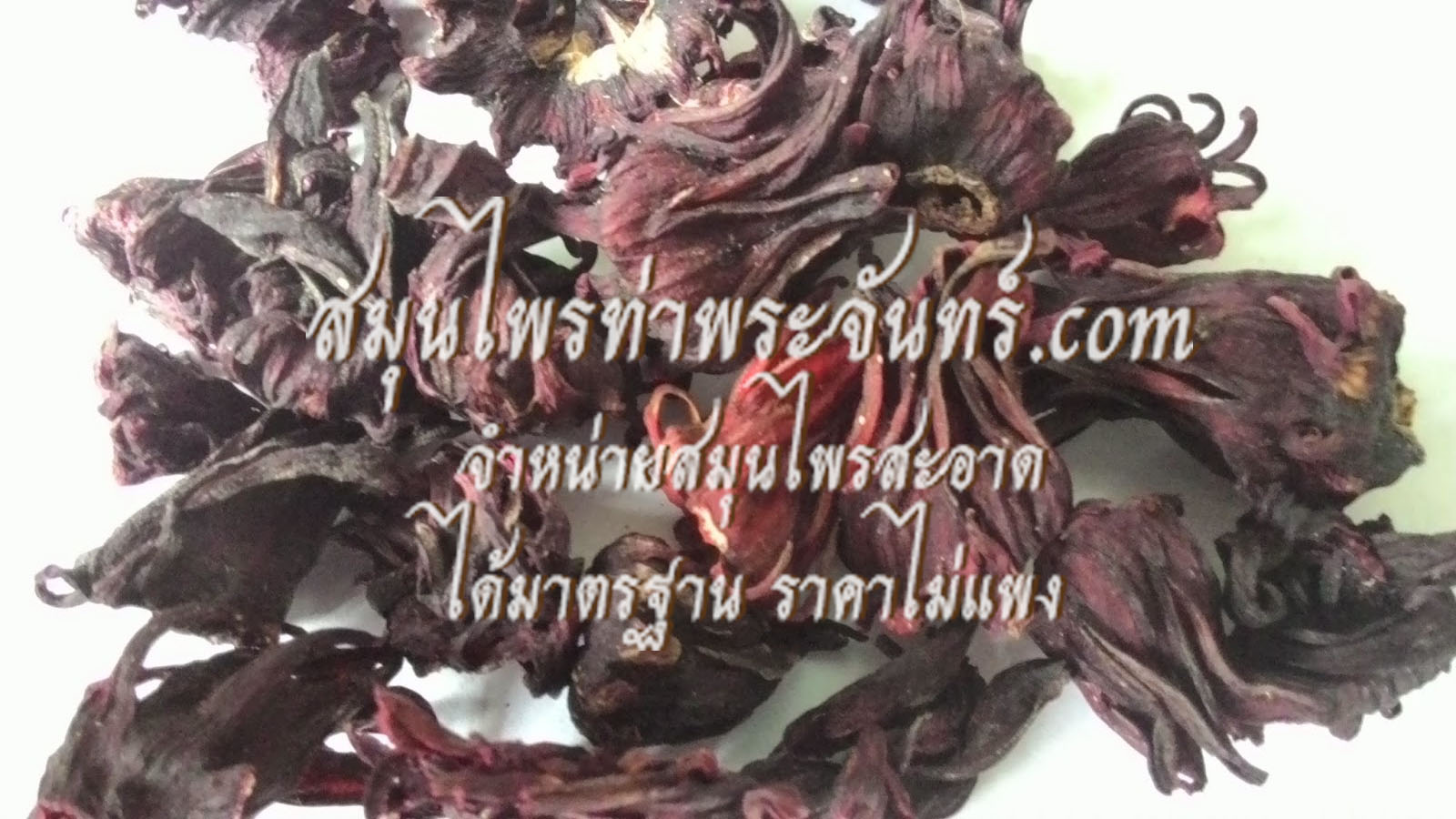 กระเจี๊ยบแดง