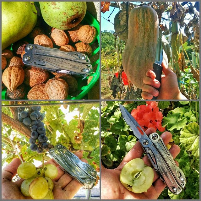 คีมเอนกประสงค์ Leatherman Wingman... Made in USA