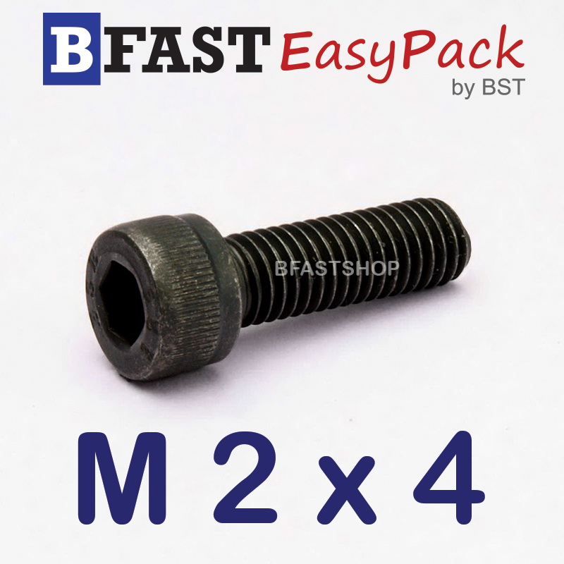 สกรูหัวจมดำ M 2 x 4 (10 ตัว/ถุง) *เกลียวตลอด*