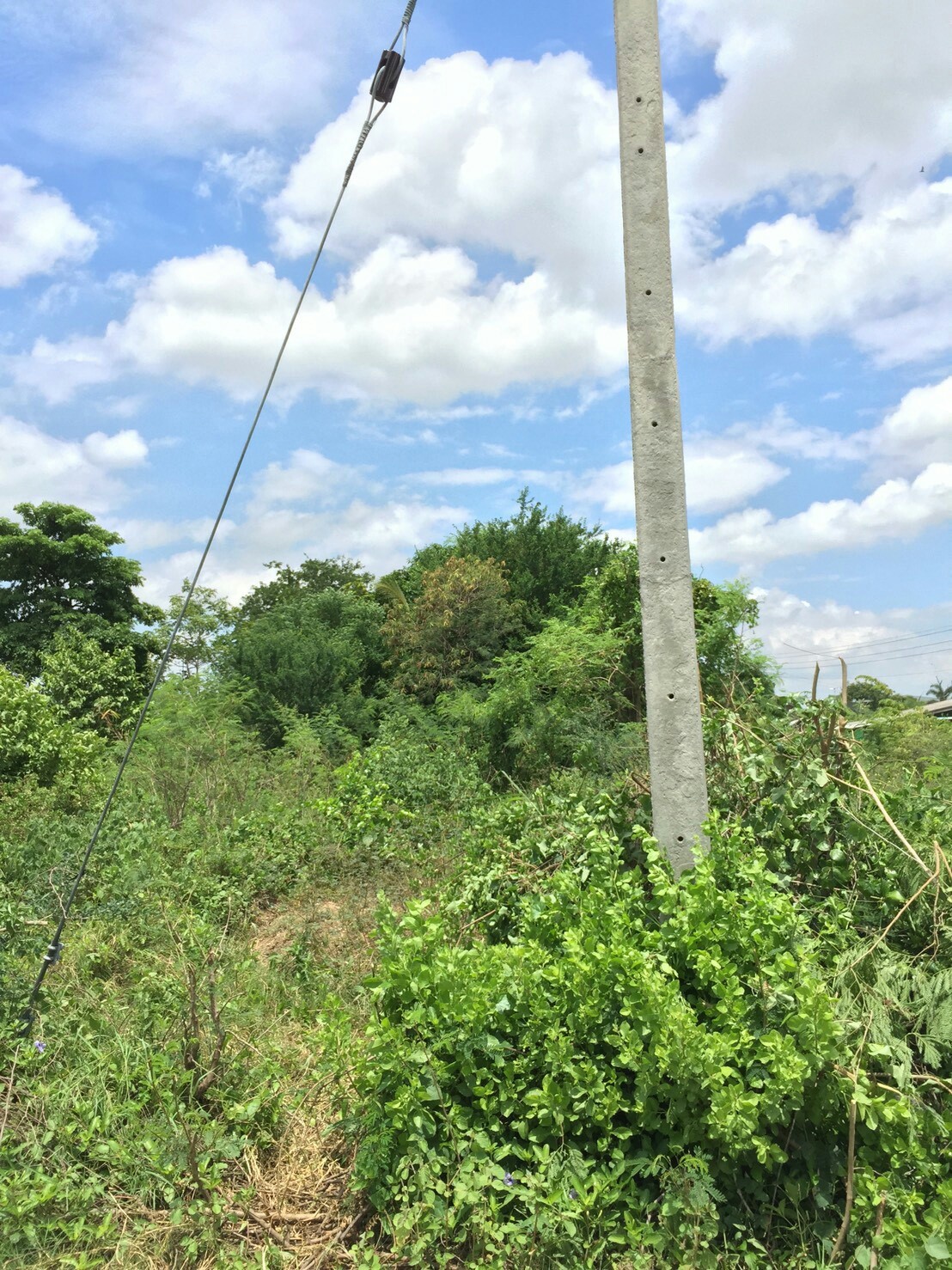 รหัสทรัพย์ 87582 ขายที่ดิน 2 แปลงจังหวัดนครปฐม 2 แปลงติดกัน