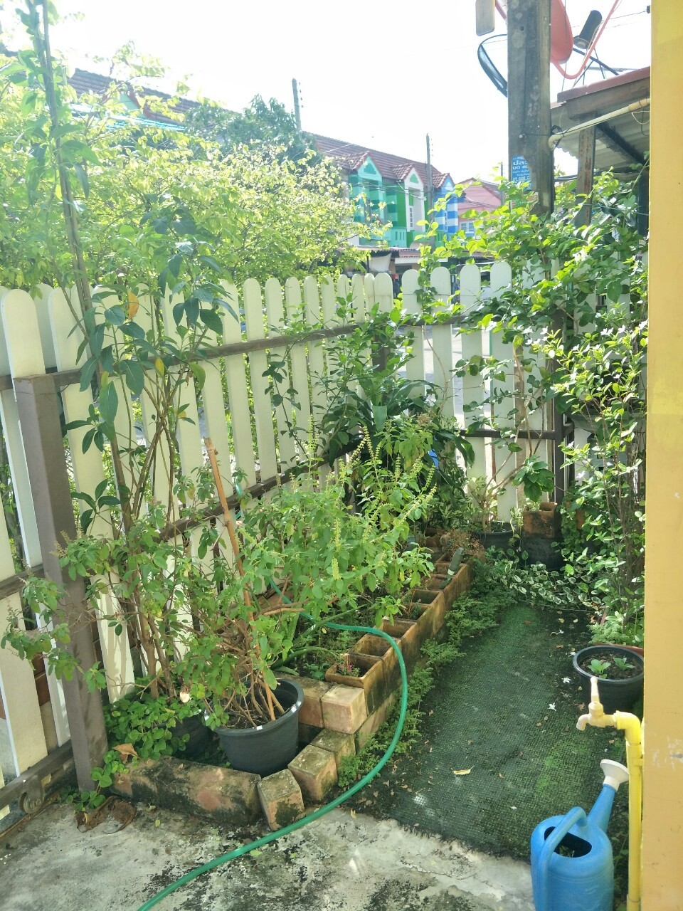 ขายทาวน์เฮ้าส์ 2 ชั้น ซื้อบ้านมีเงินทอน โครงการหมู่บ้าน คัทลิยา วิลล์ ลำลูกกา คลอง 3 — ติดถนนใหญ่ ไม่ต้องเข้าซอยย่อย