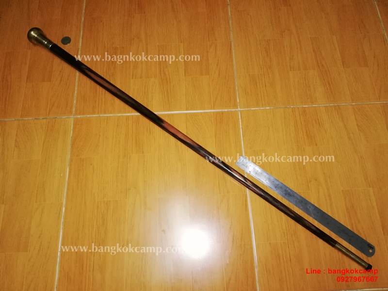 ไม้มงคลหายาก... ไม้ตะพด(ไม้มะริด) หัวทองเหลือง