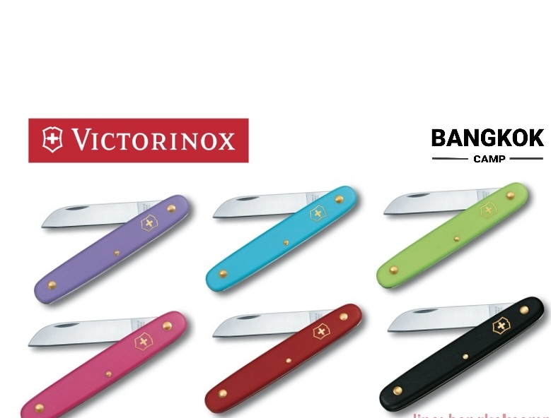 มีดเกษตร VICTORINOX ECOLINE FLORAL KNIFE (3.9050)