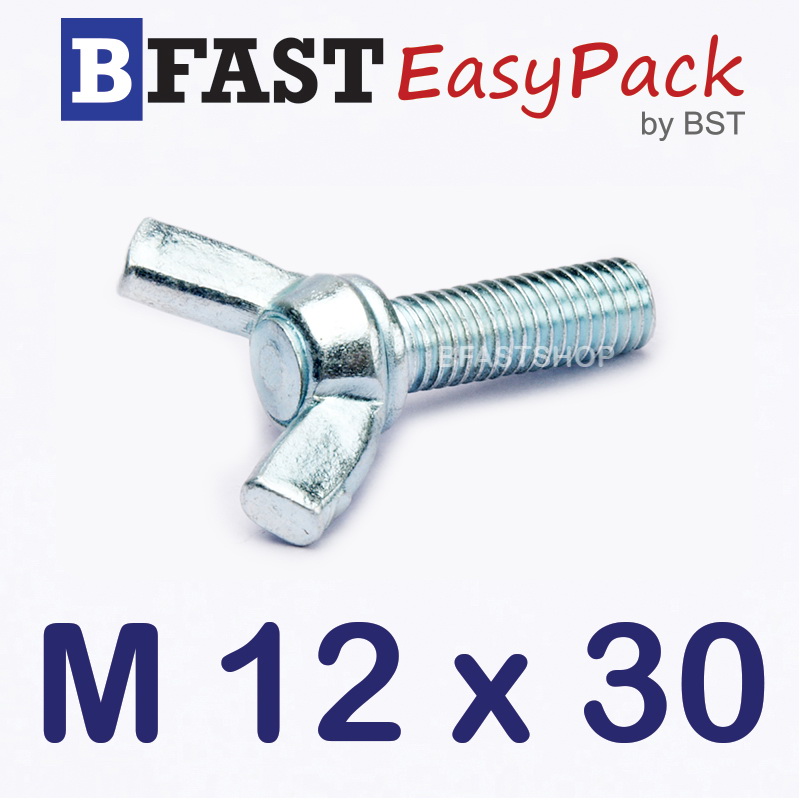 สกรูหางปลาหูกระต่าย M12 x 30 (1 ตัว)