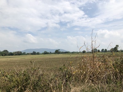 ขายที่ดินเชียงรายติดริมแม่น้ำ กก ราคาถูกมาก มี 2 แปลง อยู่ตำบล ริมกก อ เมือง จ เชียงราย ใกล้ ตรงข้ามโบราณสถาน