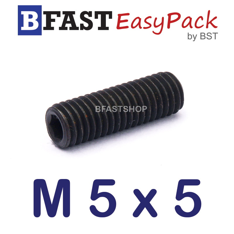 สกรูตัวหนอนดำ M 5 x 5 (20 ตัว/ถุง)
