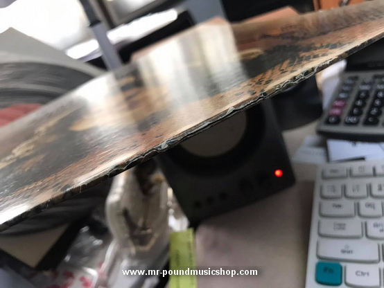 David Coverdale - Whitesnake