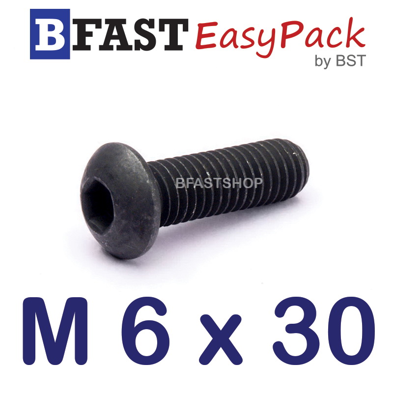 สกรูจมกลมดำ M 6 x 30 (5 ตัว/ถุง)