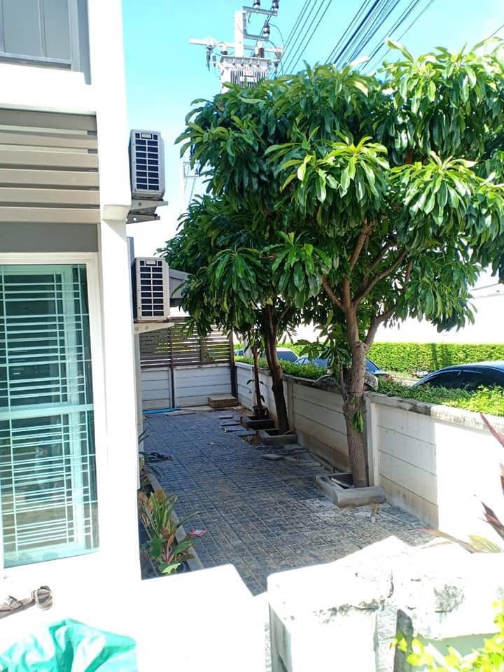 ให้เช่าด่วน ราคาเพียง 17000 ฿ /เดือนเท่านั้น!!ทาวน์เฮ้าส์ โครงการเดอะคัลเลอร์เลชเชอร์ บางนา เฝส 5โครงการอยู่ด้านหลังเมกกะบางนา