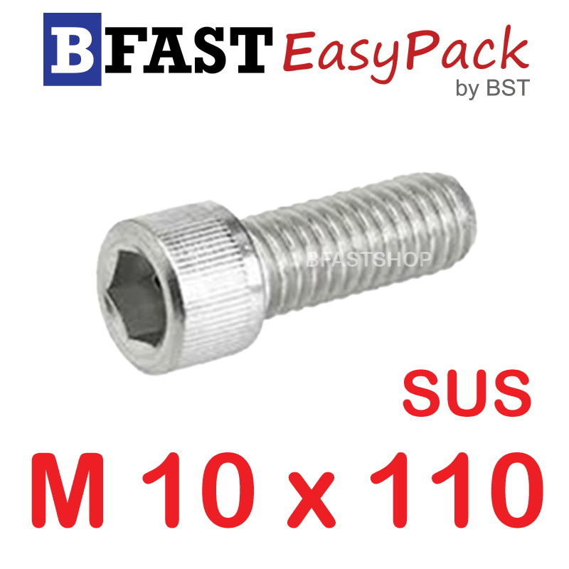 สกรูหัวจมสแตนเลส SUS M 10 x 110 (1 ตัว/ถุง)