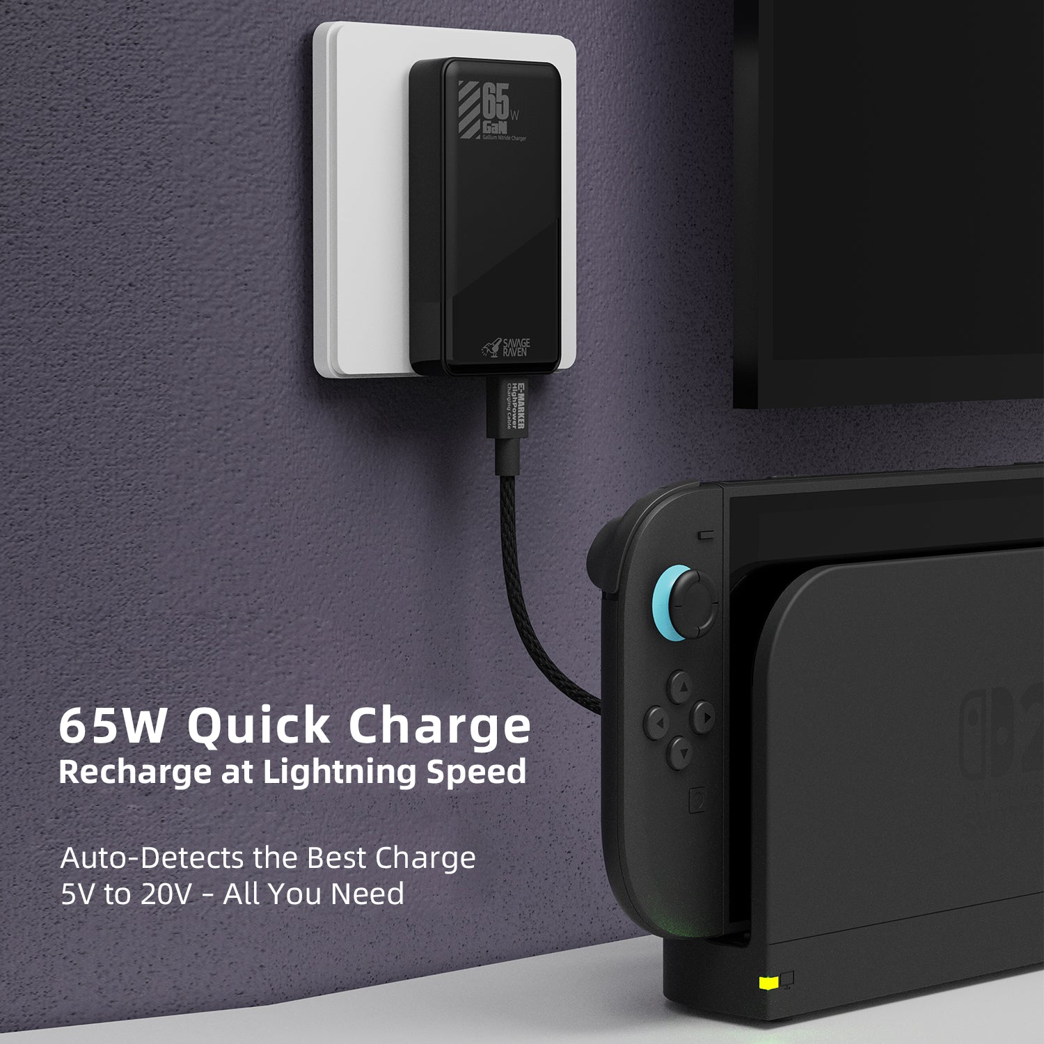 Savage Raven by Skull & Co. 65W GaN Power Adapter for Nintendo SWITCH2/Steam Deck/ROG Ally