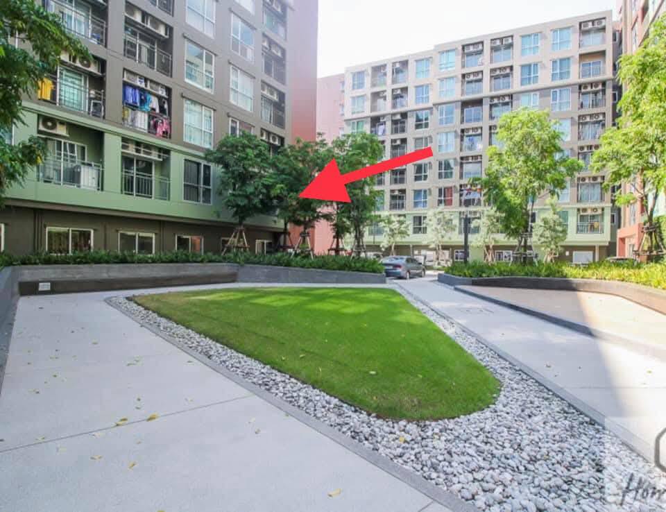 ð āļāļēāļĒ / āđāļŦāđāđāļāđāļē āļāļāļāđāļ Lumpini Place Bangna Km.3 (āļĨāļļāļĄāļāļīāļāļĩ āđāļāļĨāļŠ āļāļēāļāļāļē āļāļĄ.3) āļŦāļĨāļąāļāđāļāđāļāļāļĢāļąāļĨāļāļēāļāļāļē āđāļāļīāļāđāļāļĩāļĒāļ 650 āđāļĄāļāļĢ | āļŦāđāļāļāļĄāļļāļĄ āļāļąāđāļ 2 āļ§āļīāļ§āļŠāļ§āļ āļĢāđāļĄāļĢāļ·āđāļāļŠāļļāļāđ