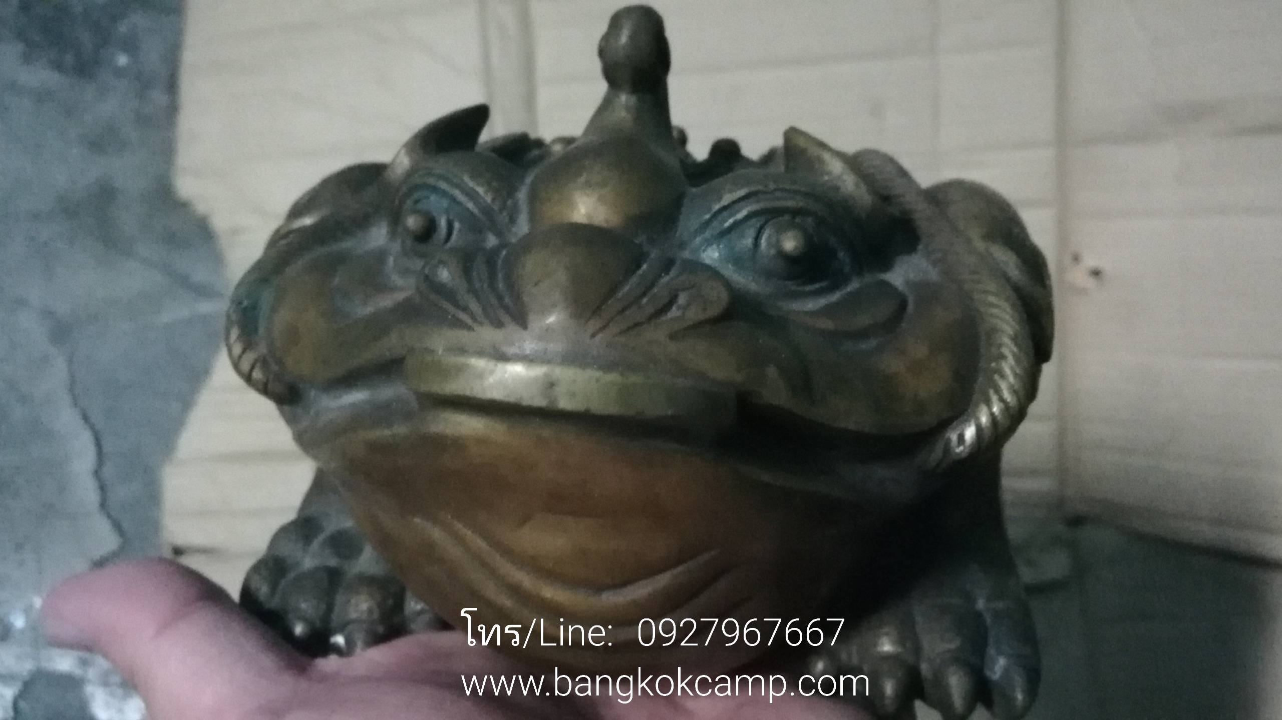 คางคกสามขาคาบเหรียญ (กิมเซียมซู) คางคก3ขาทองเหลือง (2)