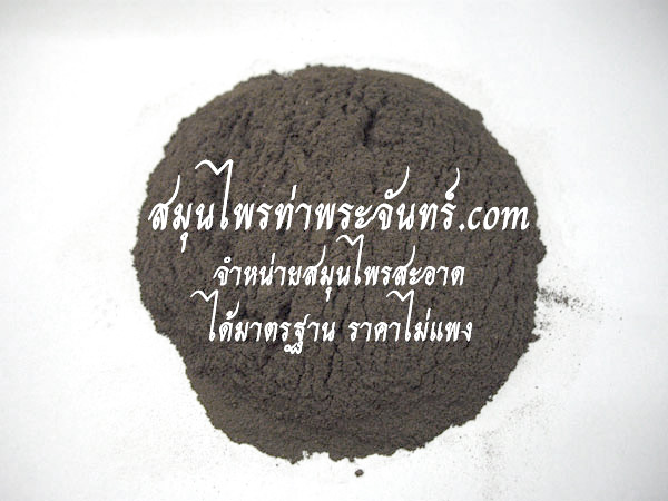 กระชายดำผง 100%