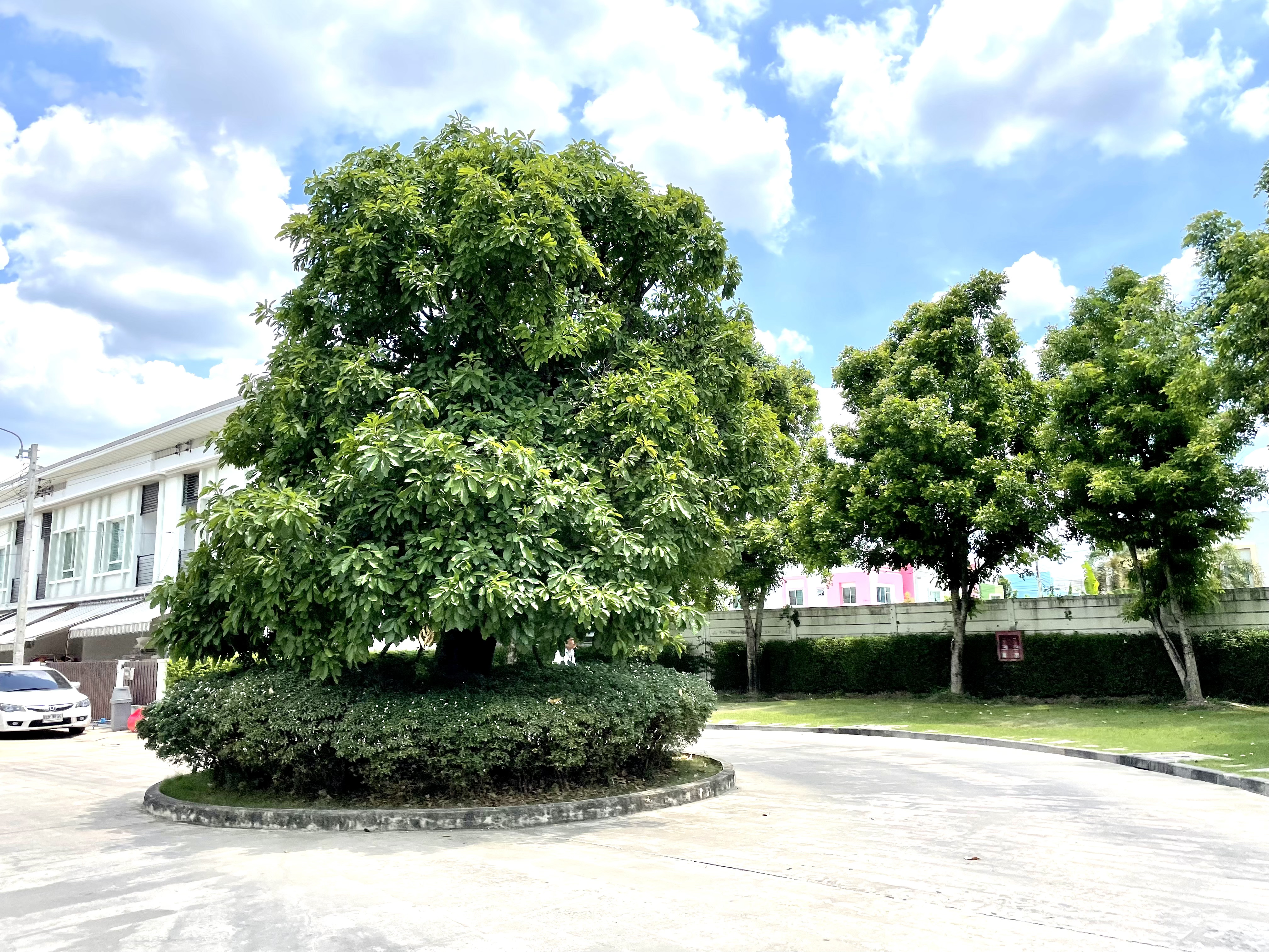 ขาย / ให้เช่าทาวน์โฮม 2 ชั้น โครงการ พลีโน่ วงแหวน-รามอินทรา Pleno Wongwaen-Ramintra 3 ห้องนอน 2 ห้องน้ำ ขนาด 29.9 ตรว