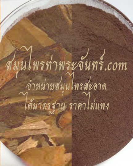 สมุนไพรเทพทาโร / ข่าต้น