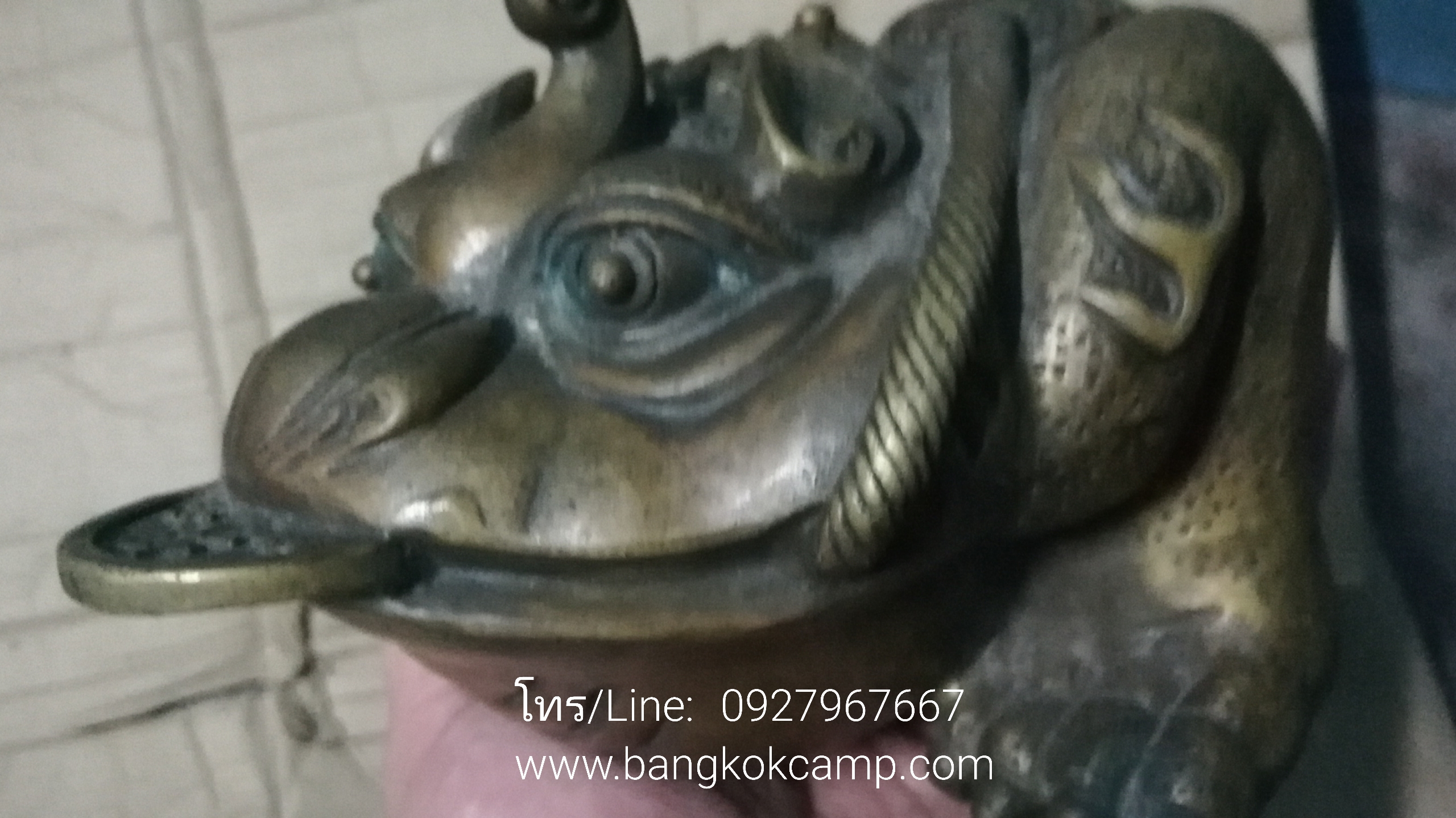 คางคกสามขาคาบเหรียญ (กิมเซียมซู) คางคก3ขาทองเหลือง (2)