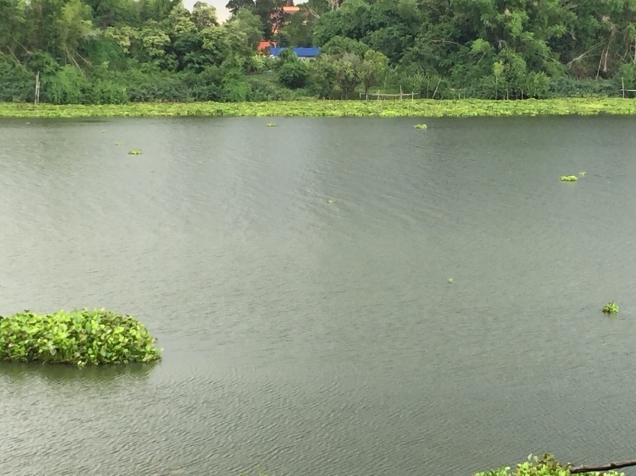 ขายที่ดินสวยติดแม่น้ำมูลทั้งผืน อำเภอ พิบูลมังสาหาร จังหวัด อุบลราชธานี อากาศเย็นสบายทั้งปี