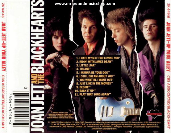 Joan Jett And The Blackhearts - Up Your Alley