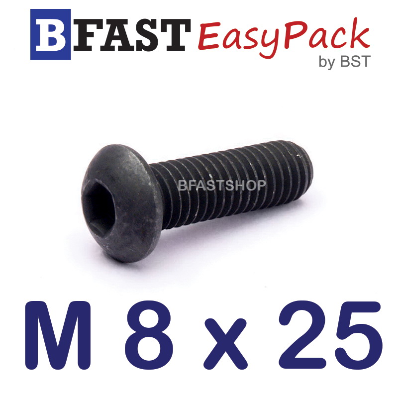 สกรูจมกลมดำ M 8 x 25 (4 ตัว/ถุง)