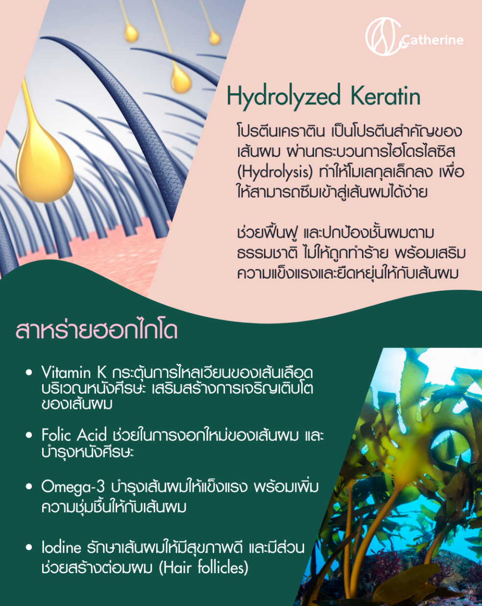 แคทเธอรีน ทรีทเม้นท์ เคราติน สาหร่าย [สำหรับผมแห้งเสีย] 50ML. *1ซองใช้ได้5ครั้ง*