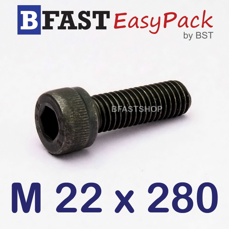 สกรูหัวจมดำ M 22 x 280 *เกลียวครึ่ง*