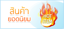สินค้า ยอดนิยม HOT ITEM