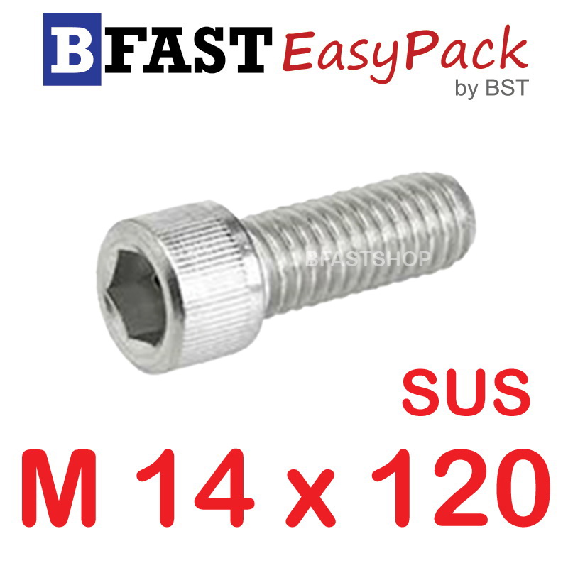 สกรูหัวจมสแตนเลส SUS M14 x 120 (1 ตัว/ถุง)