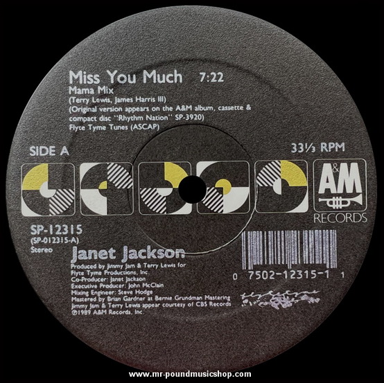 Janet Jackson - Miss You Much
