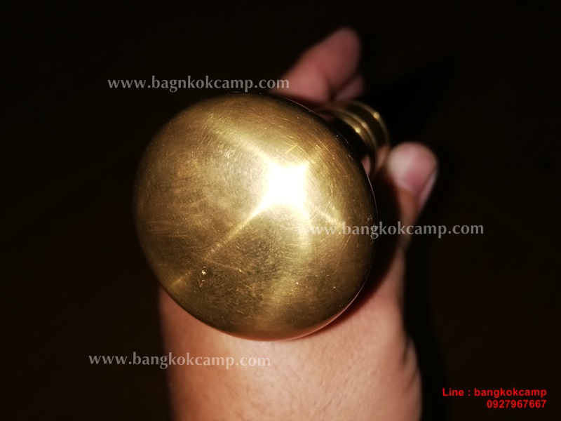 ไม้มงคลหายาก... ไม้ตะพด(ไม้งิ้วดำ) หัวทองเหลือง